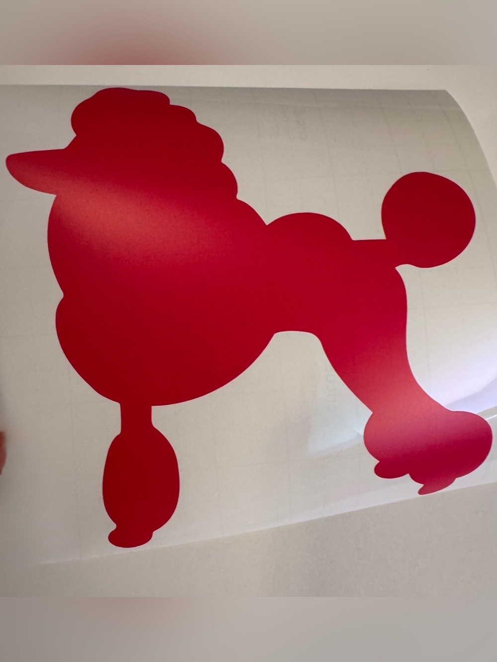 Pink Poodle Silhouette Decal